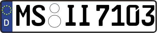 MS-II7103