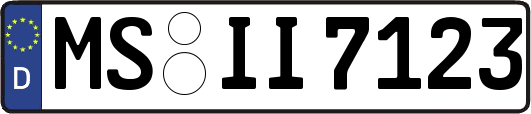 MS-II7123