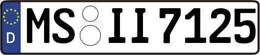 MS-II7125