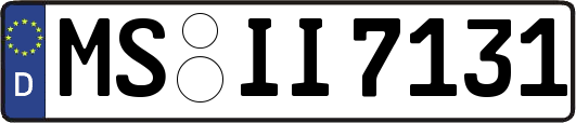 MS-II7131