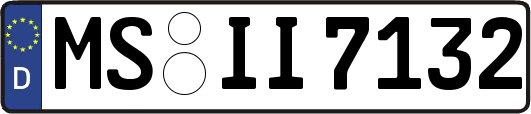 MS-II7132