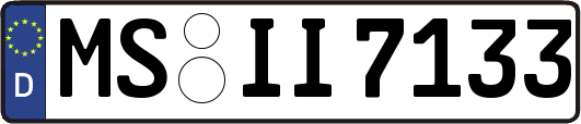 MS-II7133