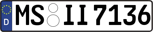 MS-II7136