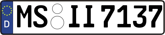 MS-II7137
