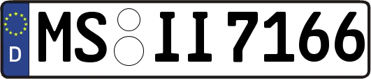 MS-II7166