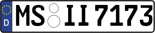 MS-II7173