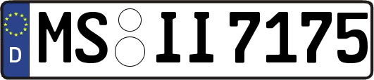MS-II7175