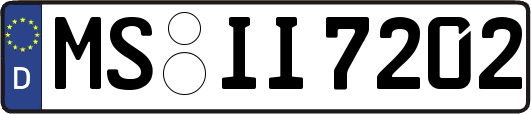 MS-II7202