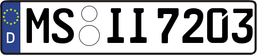 MS-II7203