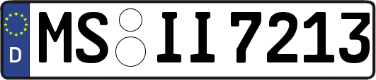 MS-II7213