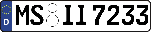 MS-II7233
