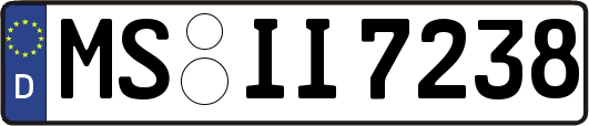 MS-II7238