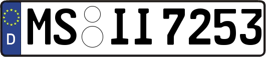 MS-II7253