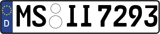 MS-II7293
