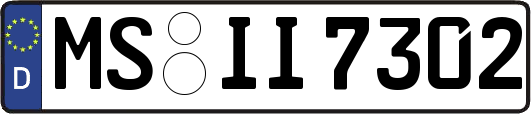 MS-II7302