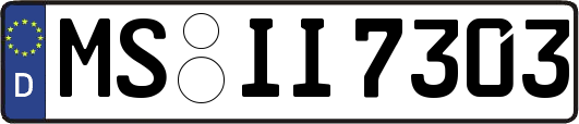 MS-II7303