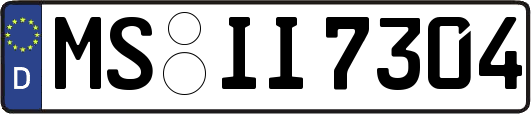 MS-II7304