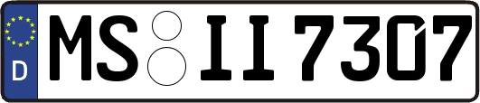 MS-II7307