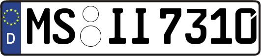 MS-II7310