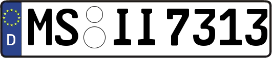 MS-II7313