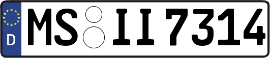 MS-II7314