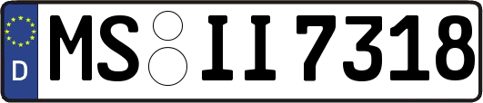MS-II7318