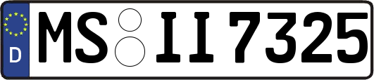 MS-II7325