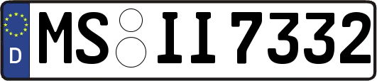MS-II7332