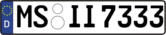 MS-II7333