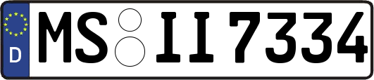 MS-II7334