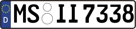 MS-II7338