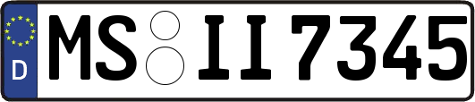 MS-II7345