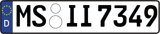 MS-II7349