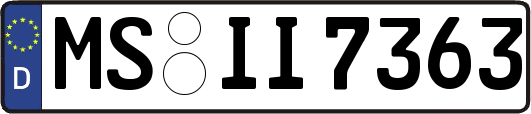 MS-II7363