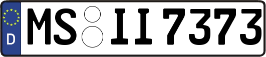MS-II7373