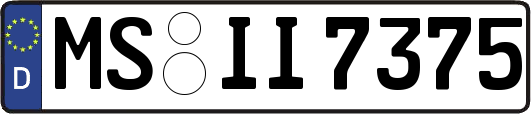 MS-II7375