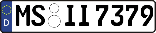 MS-II7379