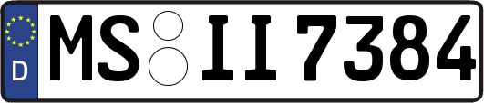 MS-II7384