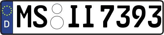 MS-II7393