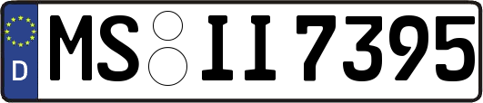 MS-II7395