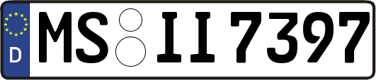 MS-II7397