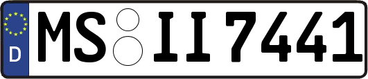 MS-II7441