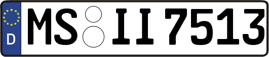 MS-II7513