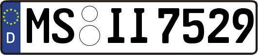 MS-II7529