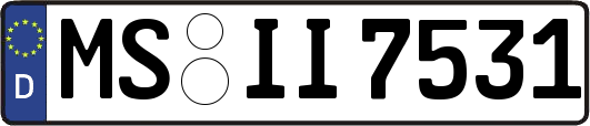 MS-II7531