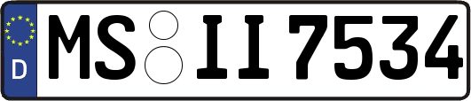 MS-II7534