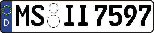MS-II7597