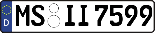 MS-II7599
