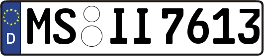 MS-II7613