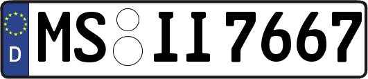 MS-II7667